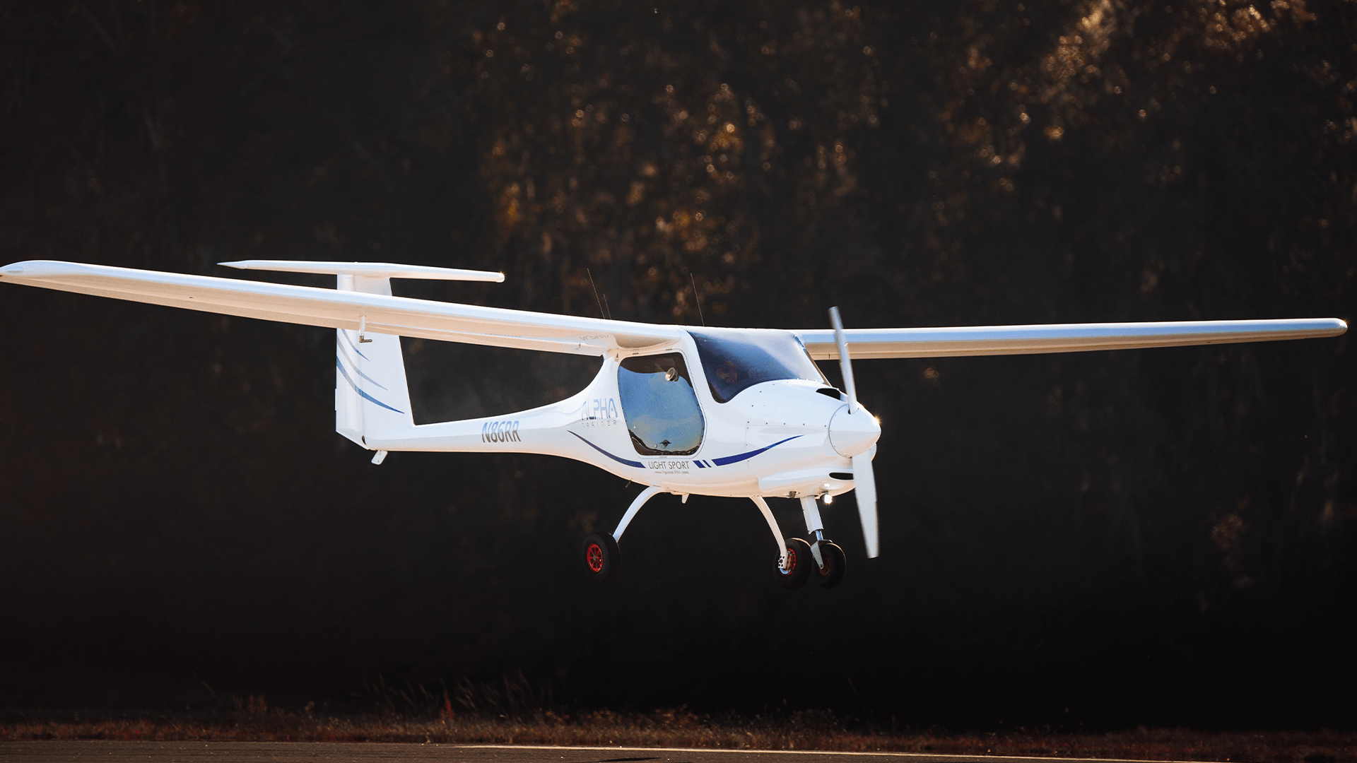 RR Pipistrel Alpha 8